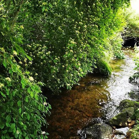 Rez De Jardin En Bordure De Ruisseau 公寓 勒伯恩霍姆