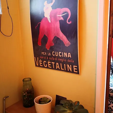 公寓 Rez De Jardin En Bordure De Ruisseau *